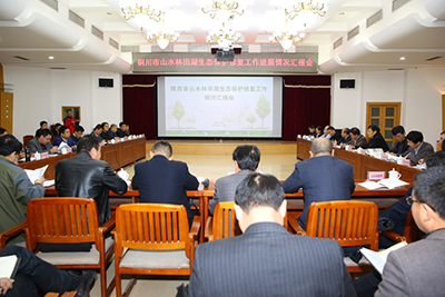 力卡CS-300专业会议系统应用于铜川市新区财政局会议室