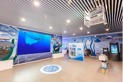 怎样为专业展馆选择完美的画面显示硬件?