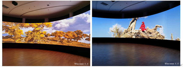 哈密伊吾胡杨林景区顺利开业，赢康工作人员获感谢信