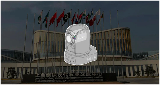 SONY机芯，“真芯”出彩