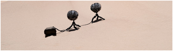 森海塞尔MKH 8030 8字形射频电容式麦克风预展